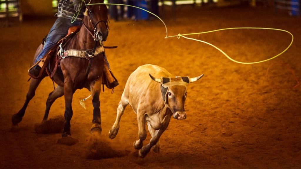 Rodeo NFR Las Vegas