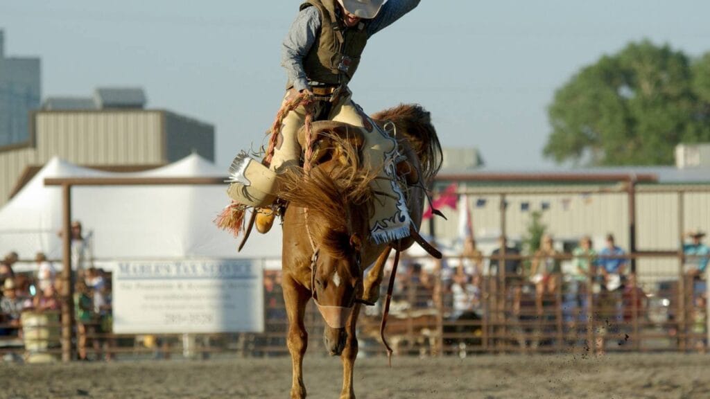 Rodeo NFR Las Vegas 2