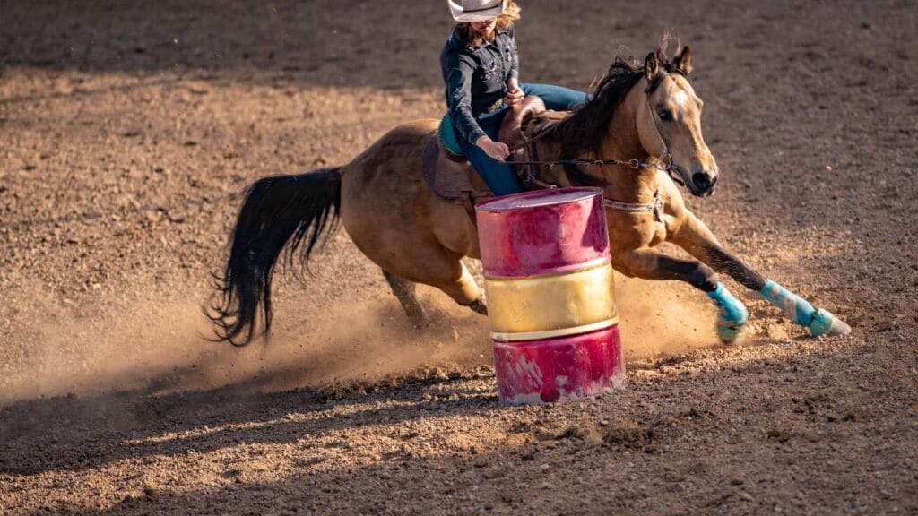 Rodeo NFR Las Vegas 3