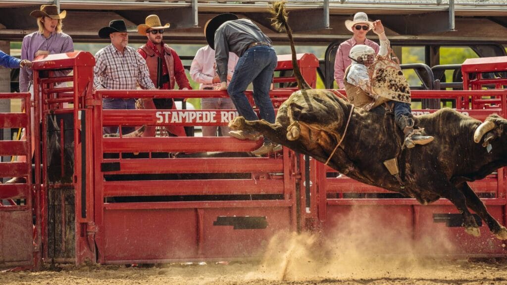 Rodeo NFR Las Vegas 4